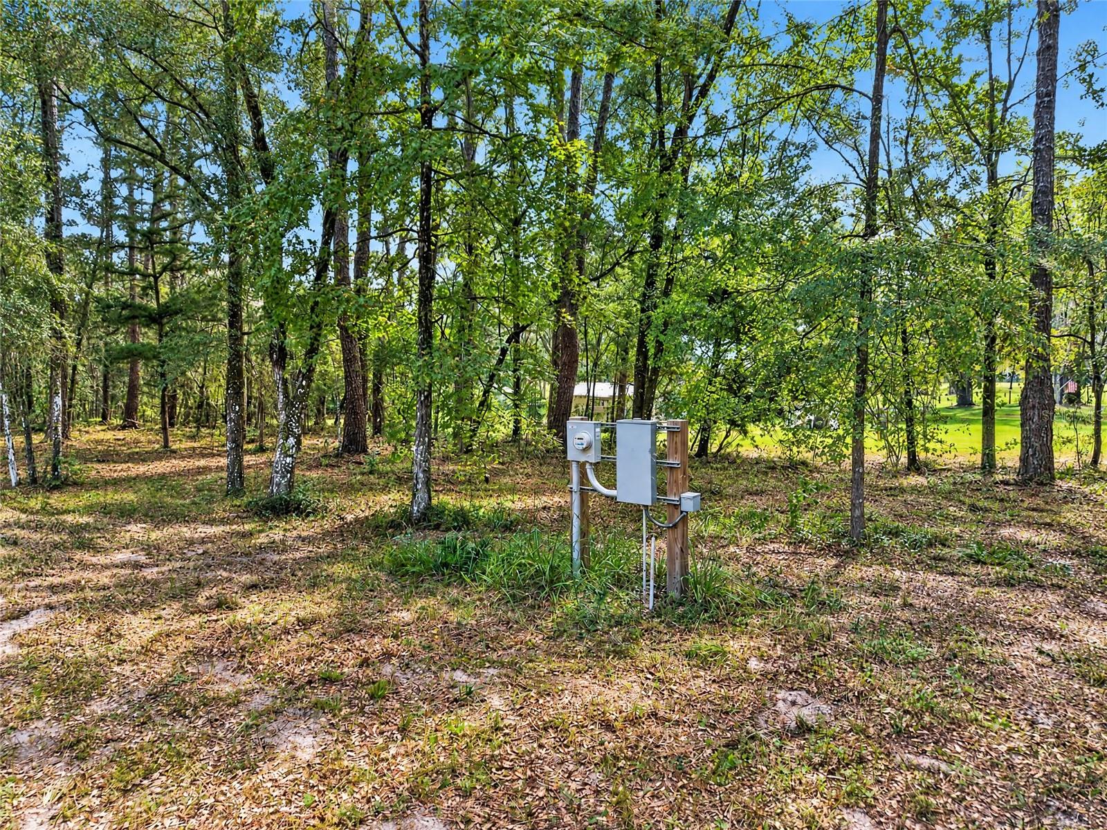 2425 NW 162ND STREET, Newberry, FL 32669