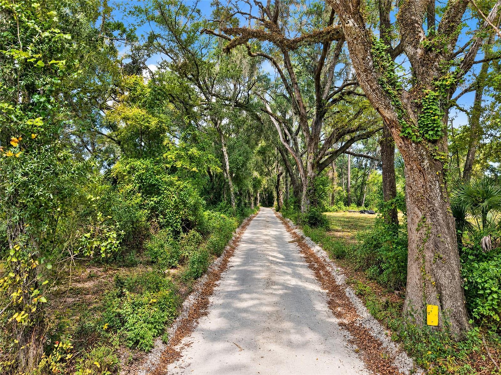 2425 NW 162ND STREET, Newberry, FL 32669 2425 NW 162ND STREET, Newberry, FL 32669