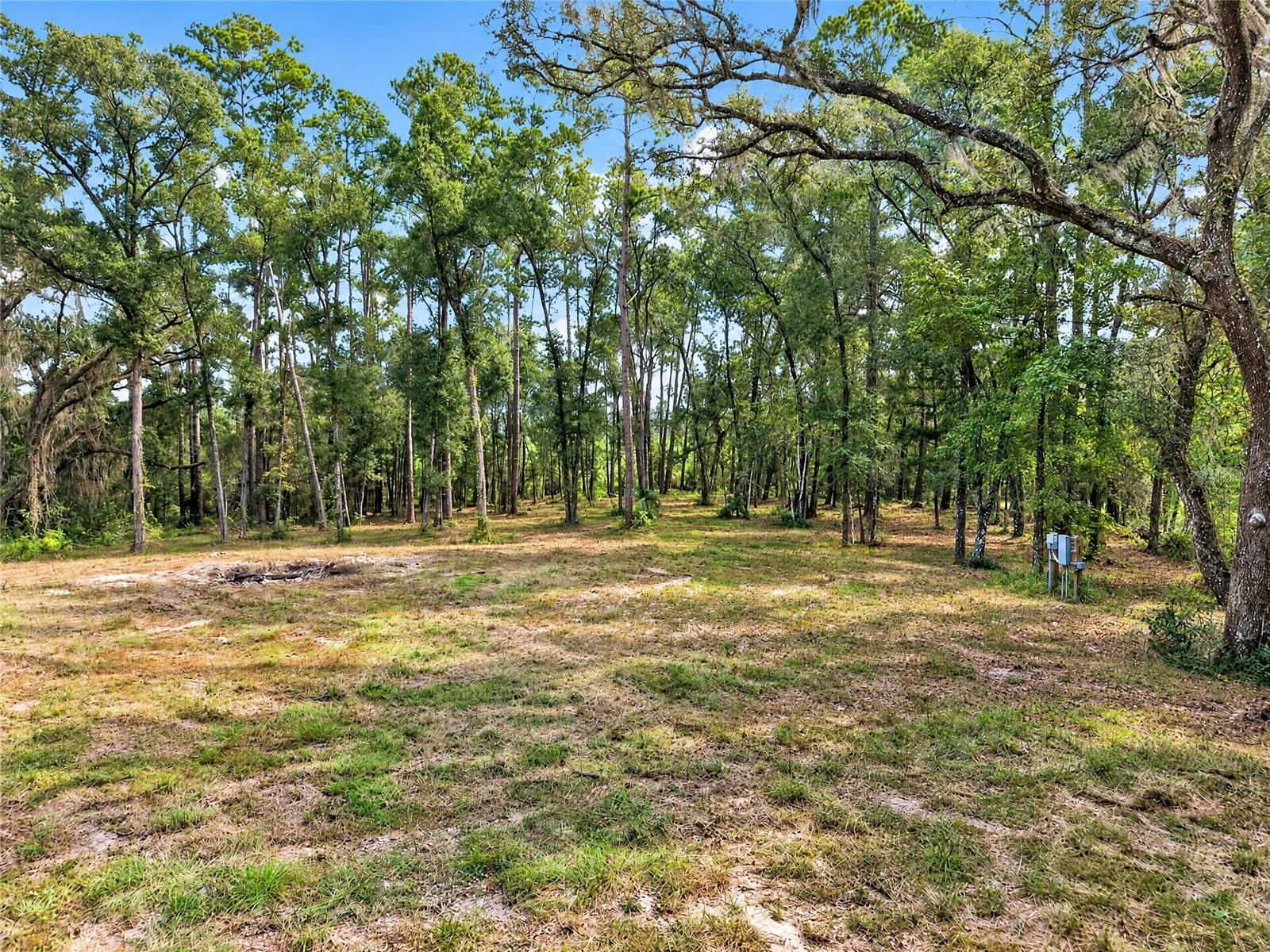 2425 NW 162ND STREET, Newberry, FL 32669