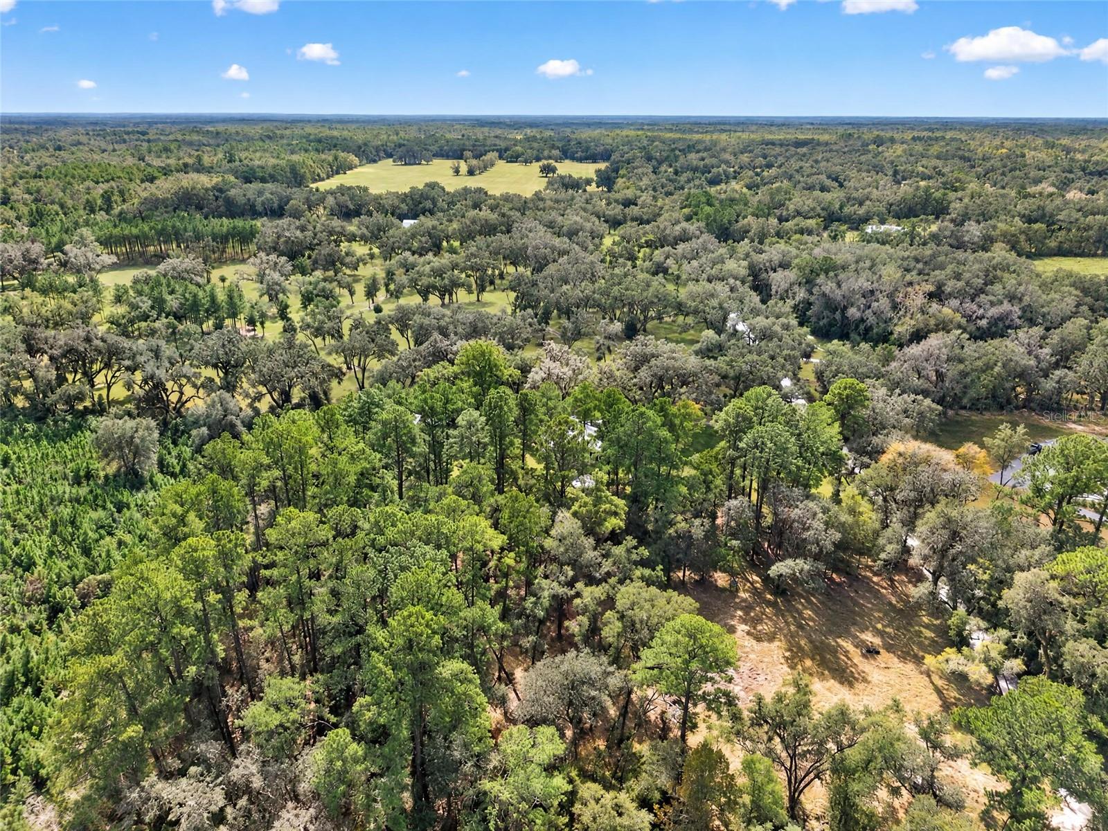 2425 NW 162ND STREET, Newberry, FL 32669