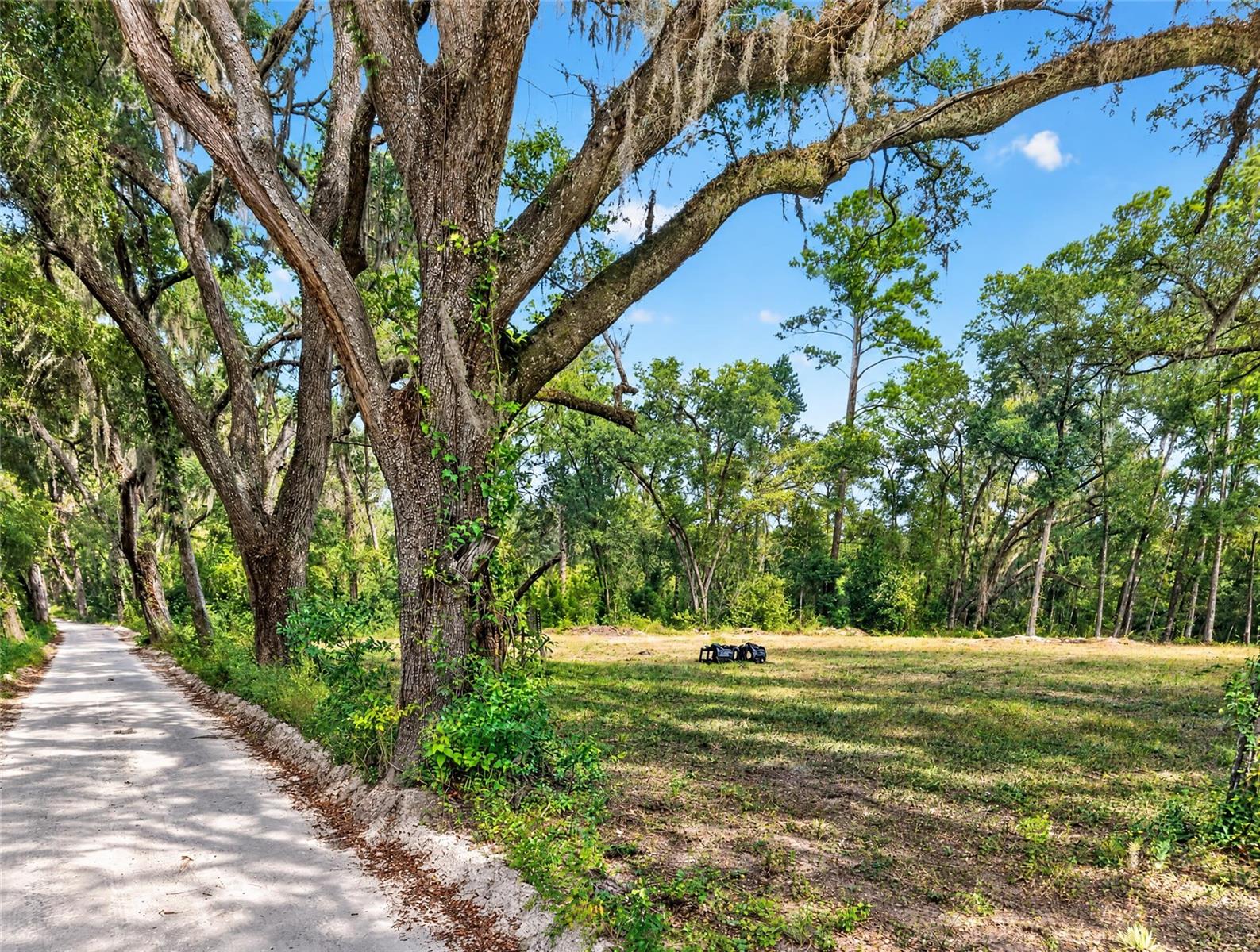 2425 NW 162ND STREET, Newberry, FL 32669