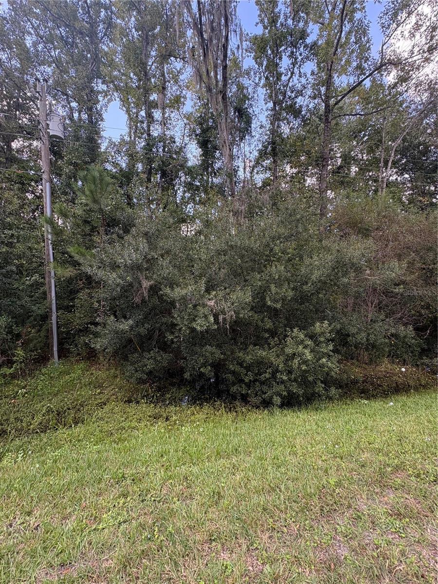 NE CR 200B, Lawtey, FL 32058 NE CR 200B, Lawtey, FL 32058
