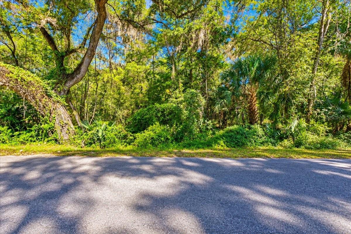 NE 399TH STREET, Old Town, FL 32680