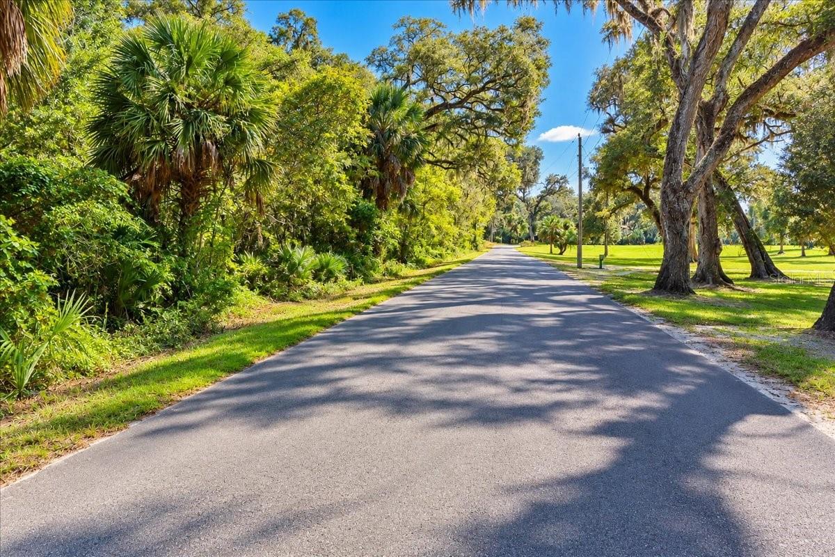 NE 399TH STREET, Old Town, FL 32680