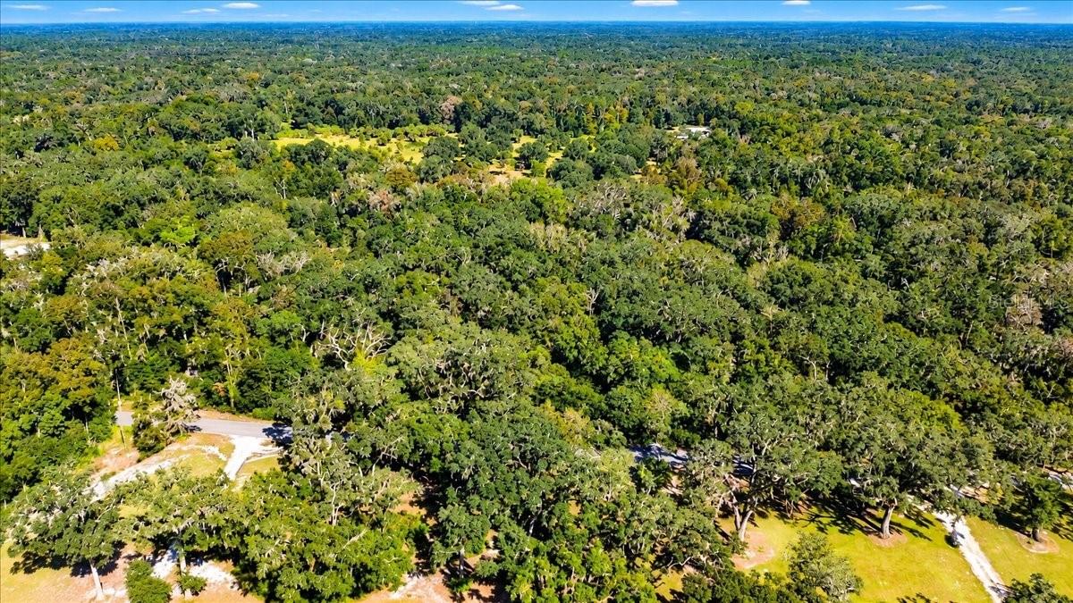 NE 399TH STREET, Old Town, FL 32680