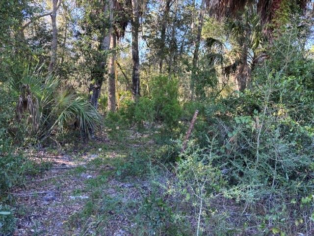 7450 SW SR 24, Cedar Key 7450 SW SR 24, Cedar Key