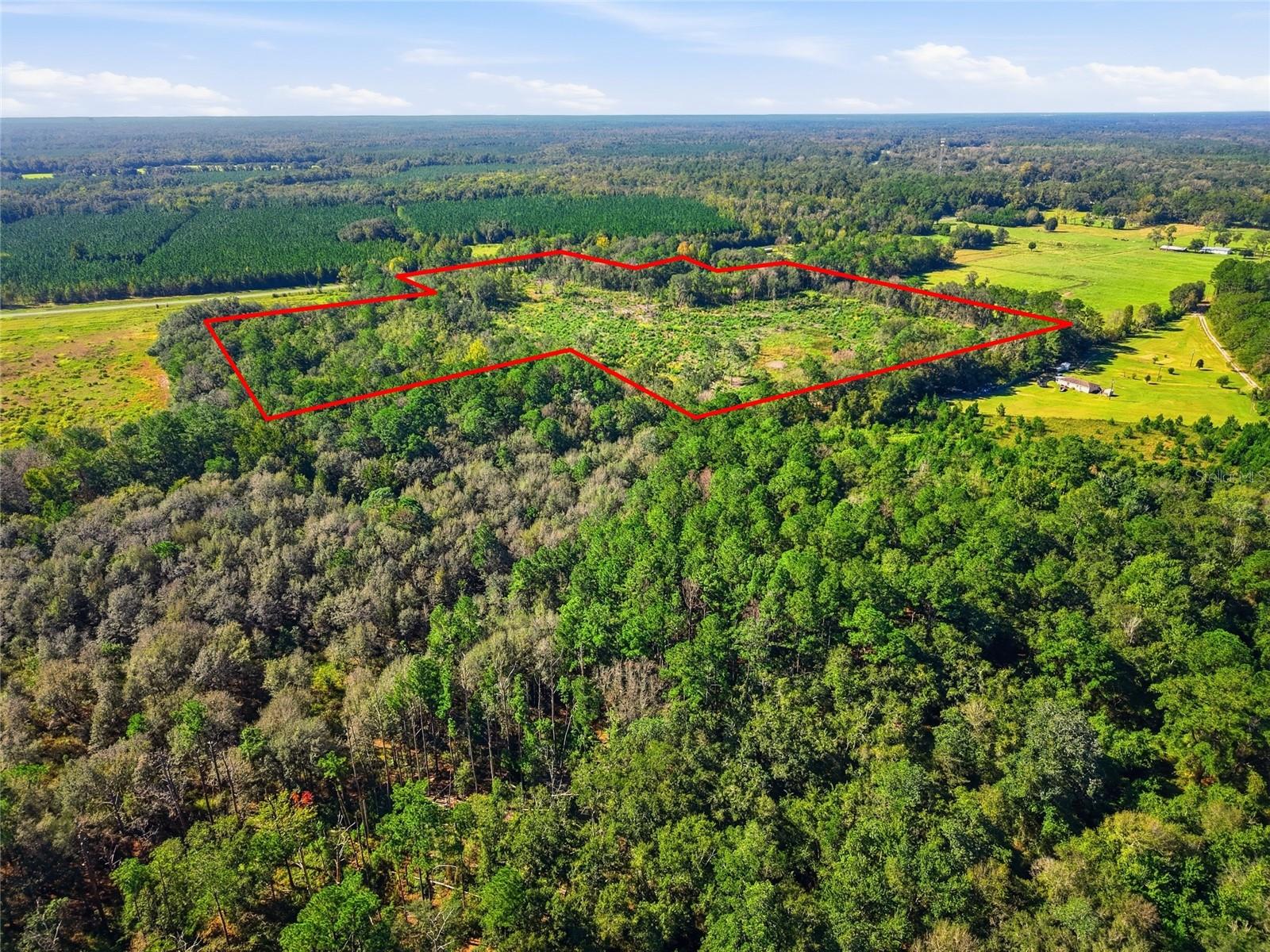 4408 W STATE ROAD 235, La Crosse, FL 32658