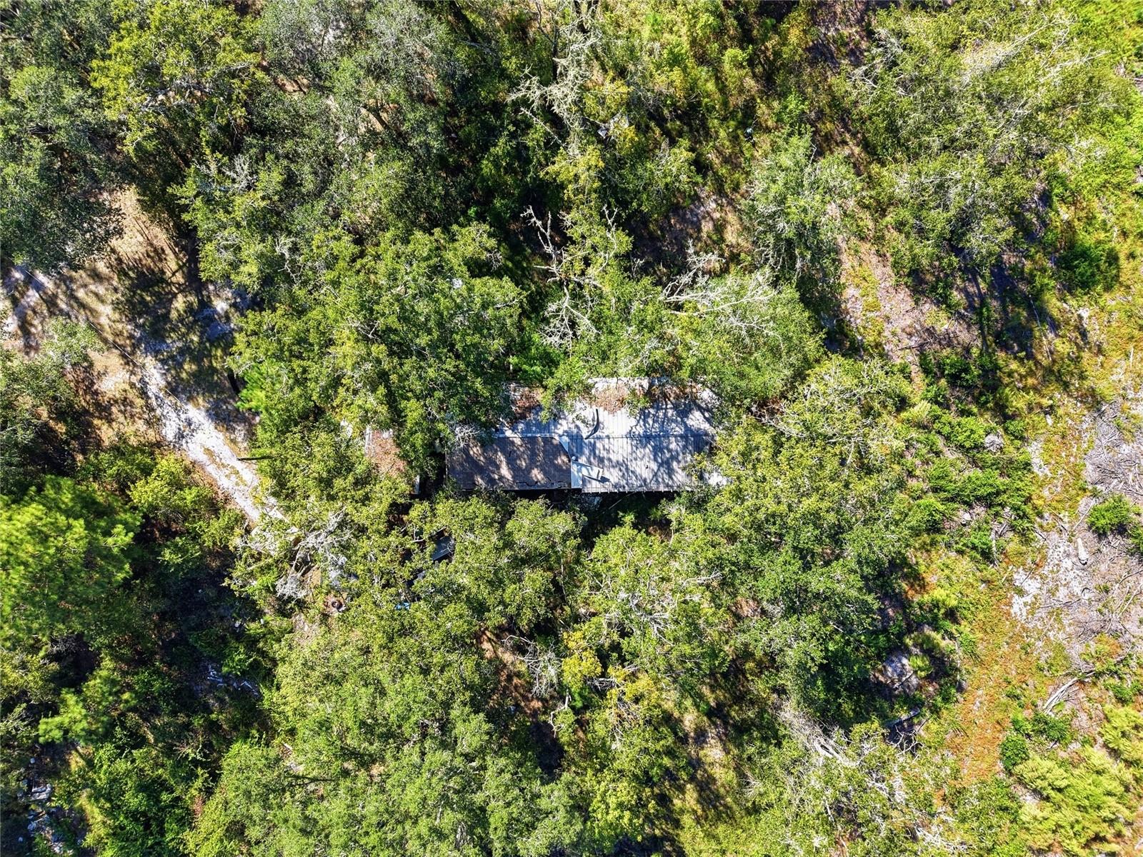 4408 W STATE ROAD 235, La Crosse, FL 32658