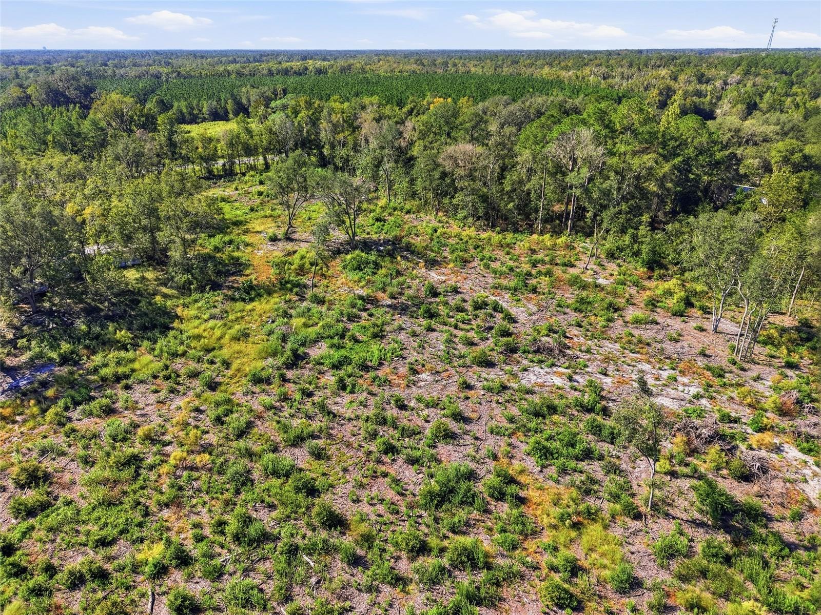 4408 W STATE ROAD 235, La Crosse, FL 32658