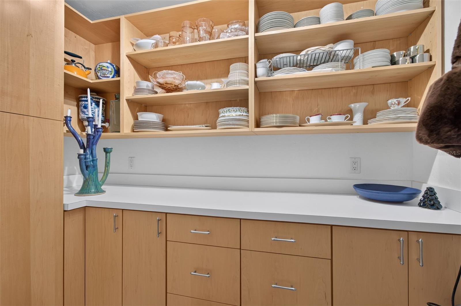 Walk-in Pantry