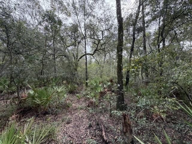 1030 NW 78TH AVENUE, Bell, FL 32619
