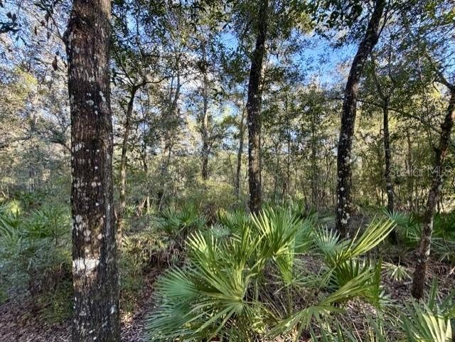 1030 NW 78TH AVENUE, Bell, FL 32619