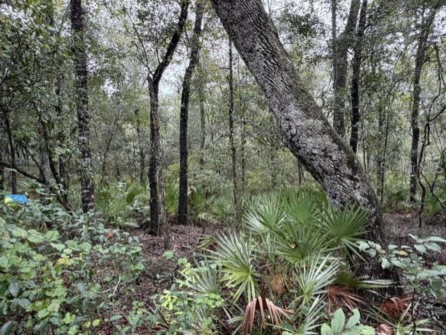 1030 NW 78TH AVENUE, Bell, FL 32619