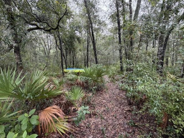 1030 NW 78TH AVENUE, Bell, FL 32619