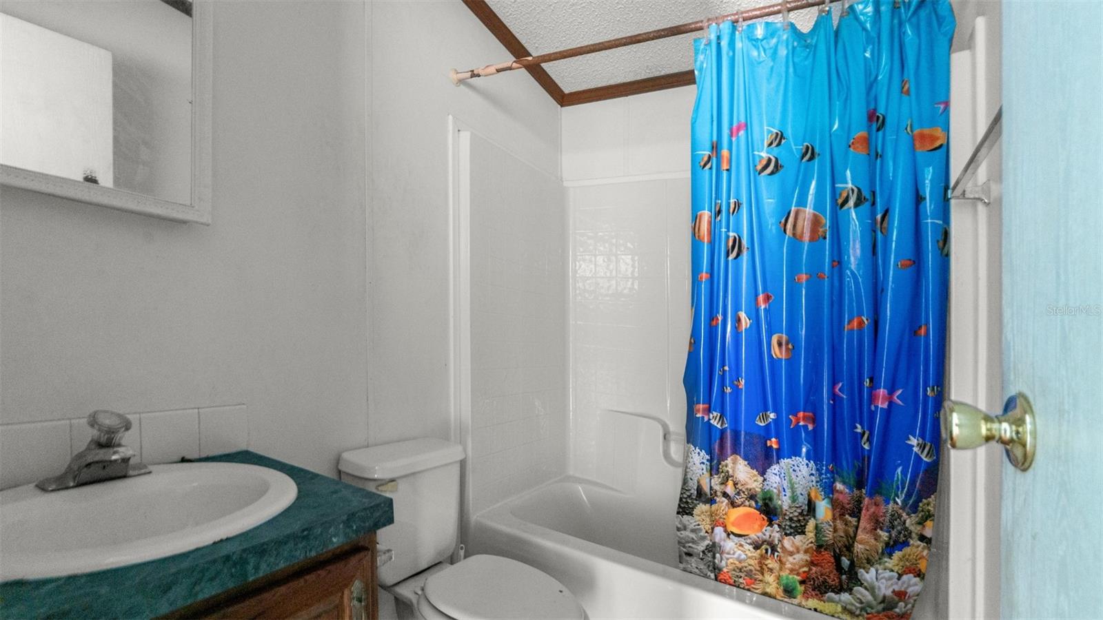 4817 NW 244TH AVENUE, Alachua, FL 32615