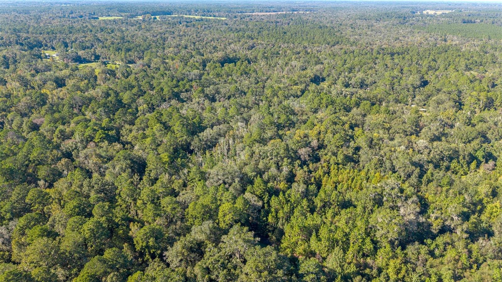 4817 NW 244TH AVENUE, Alachua, FL 32615