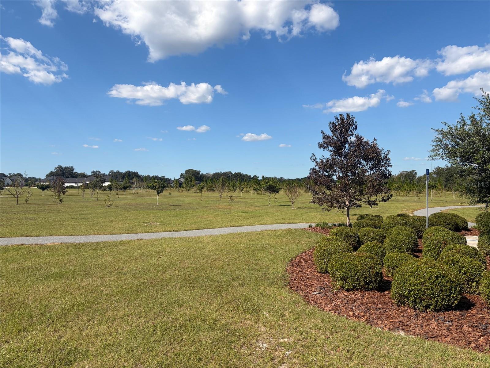 Conservation area