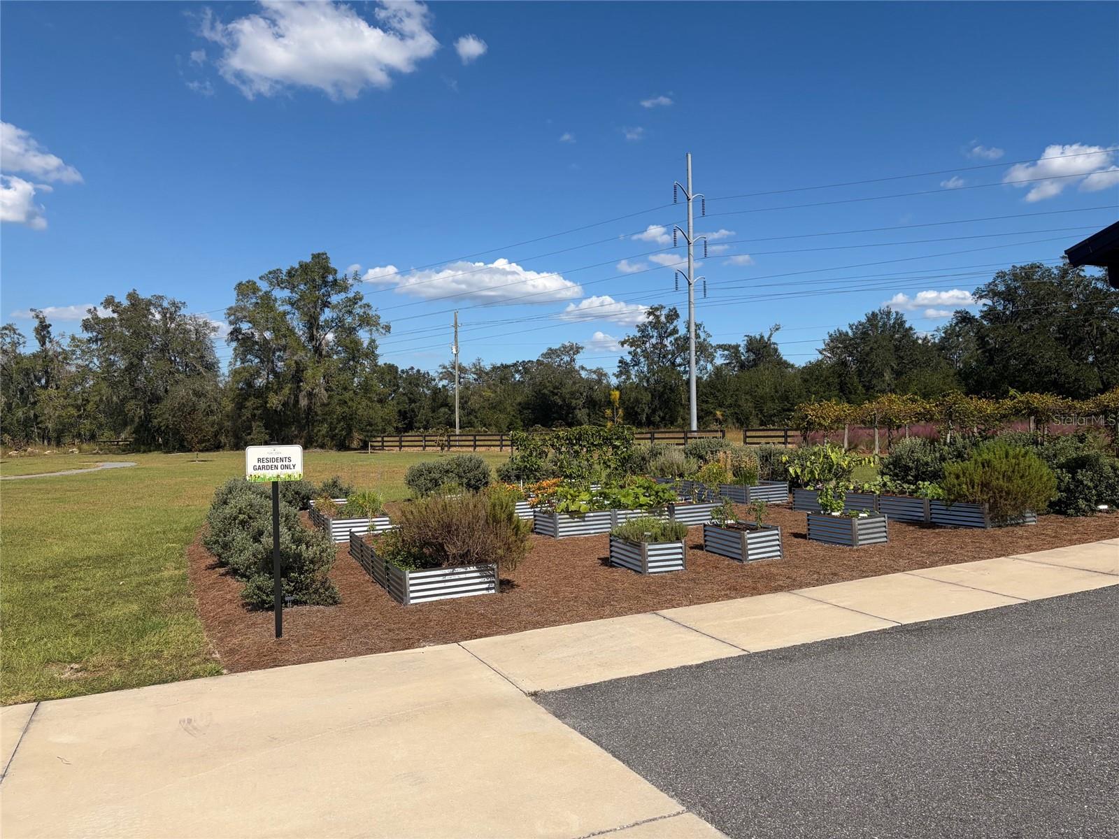 Community garden