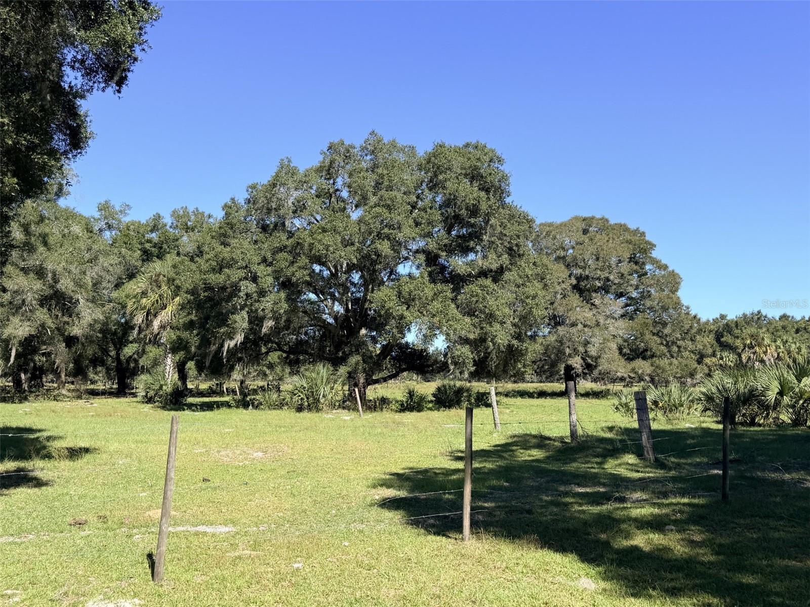 4251 NW 100TH AVENUE, Chiefland, FL 32626