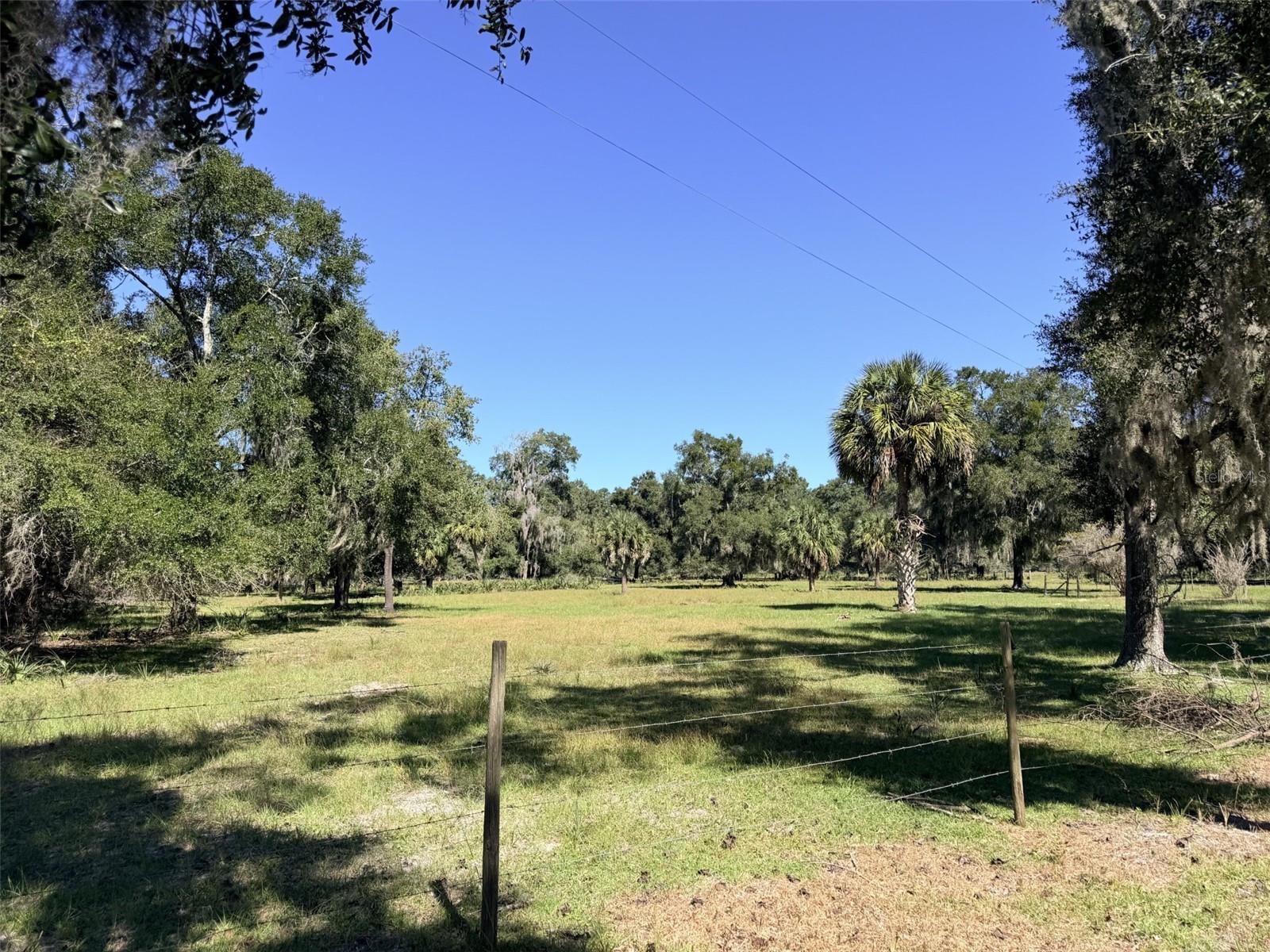 4251 NW 100TH AVENUE, Chiefland, FL 32626