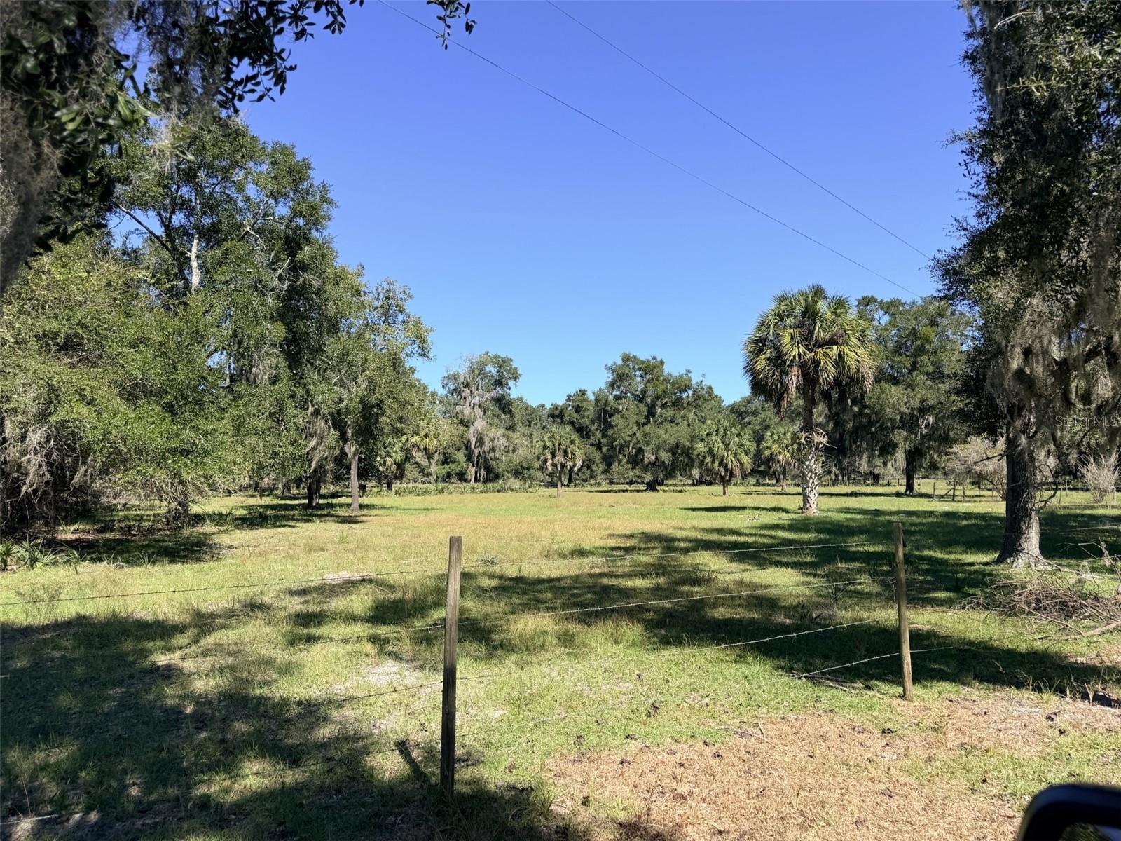 4251 NW 100TH AVENUE, Chiefland, FL 32626