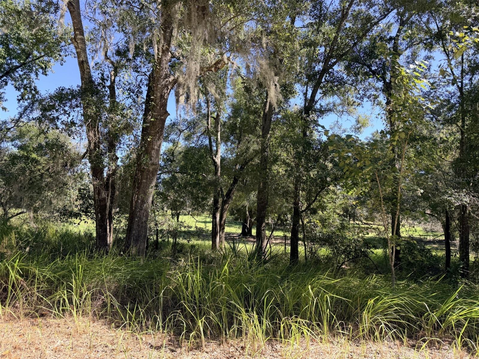 4251 NW 100TH AVENUE, Chiefland, FL 32626