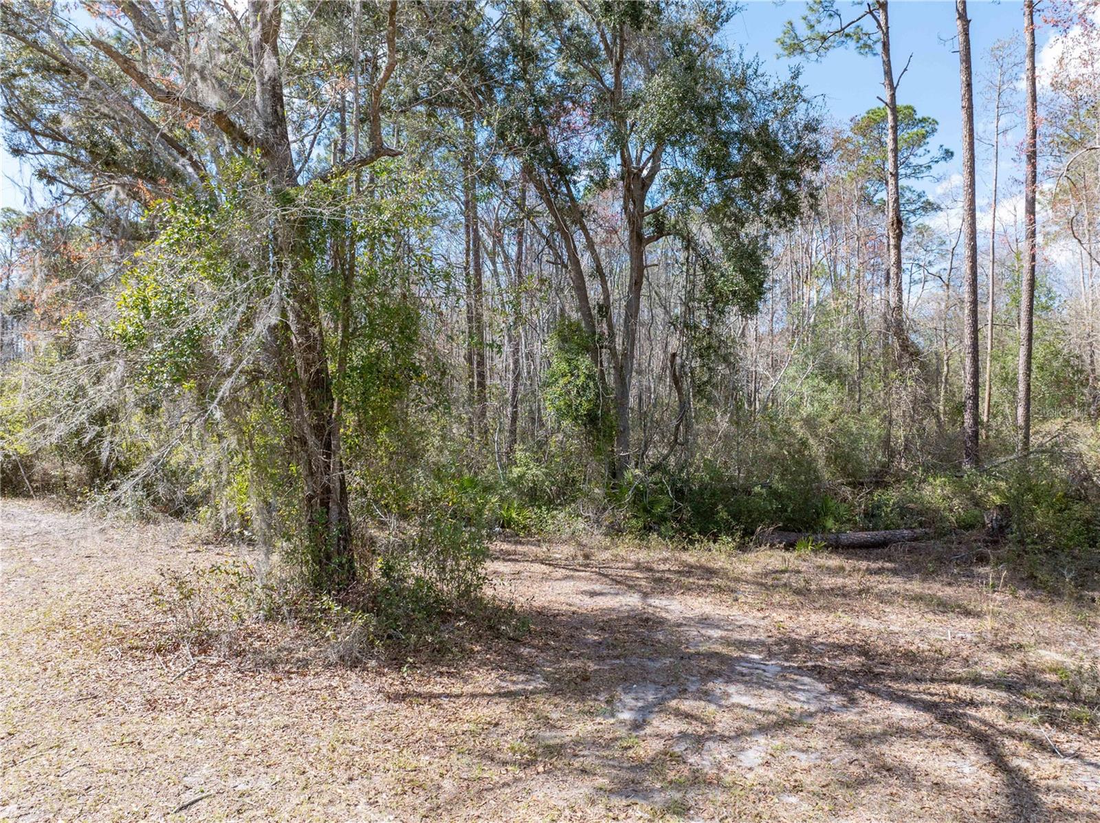 375 NW LAMAR PLACE, Lake City, FL 32055