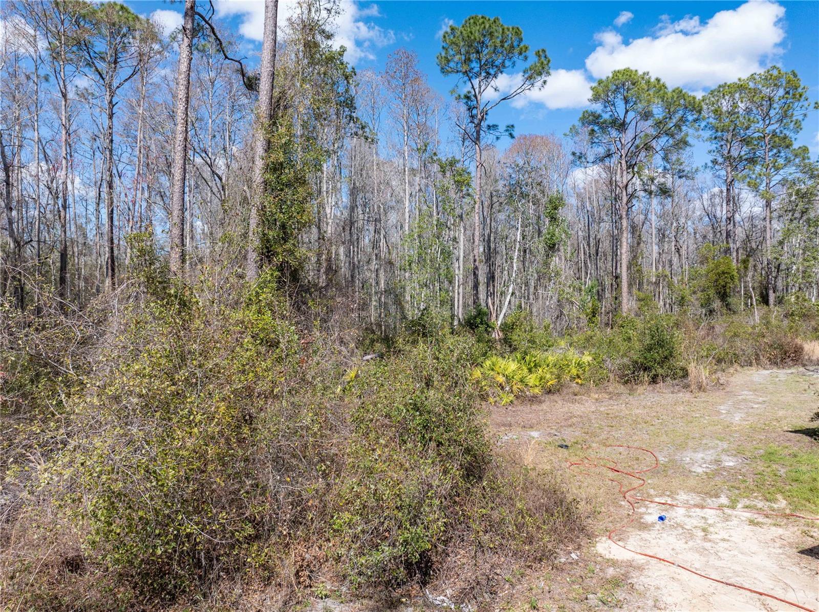 375 NW LAMAR PLACE, Lake City, FL 32055