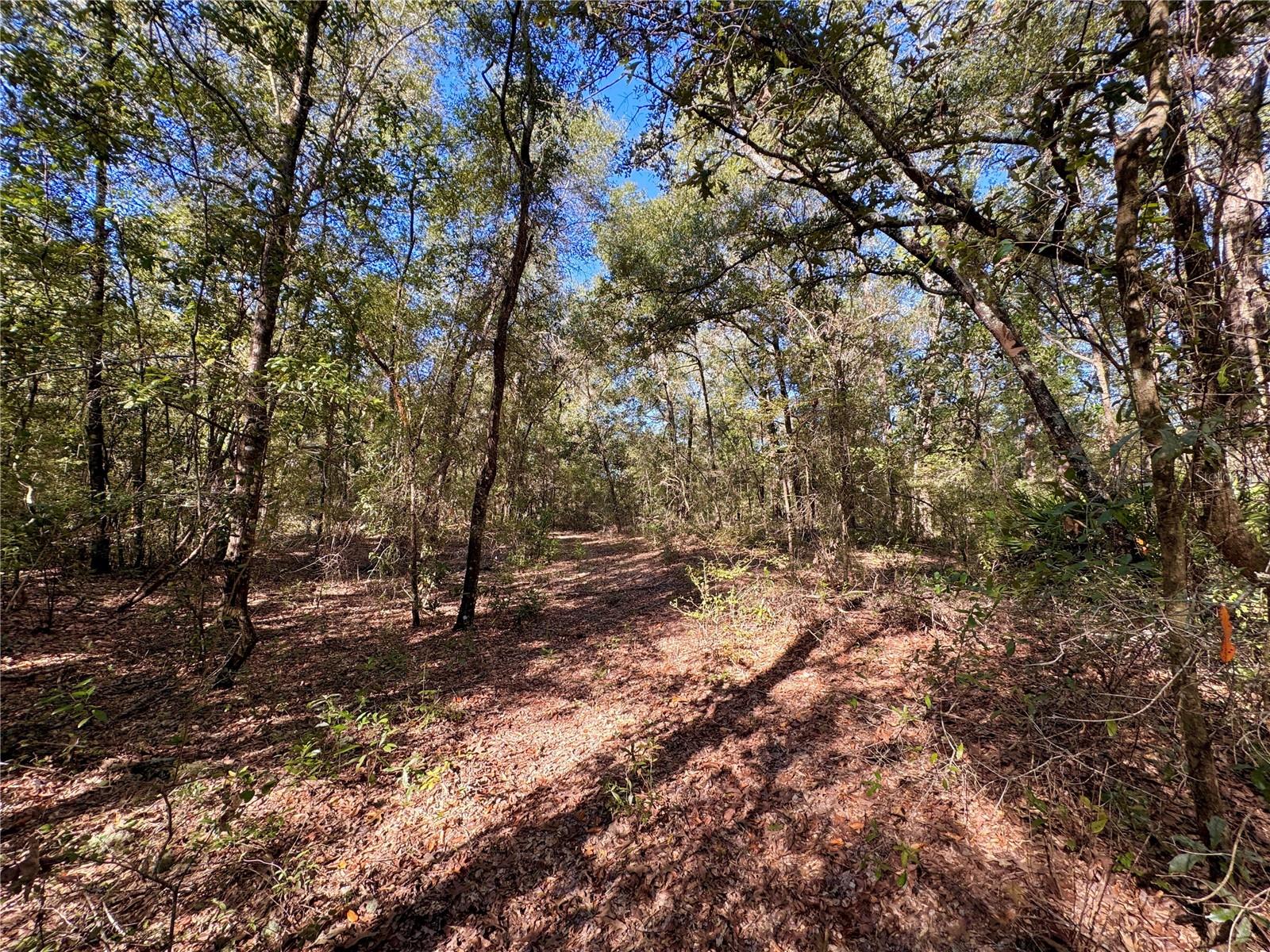 NE CR 340, High Springs, FL 32643