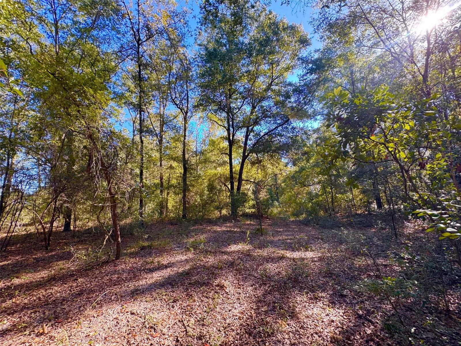 NE CR 340, High Springs, FL 32643