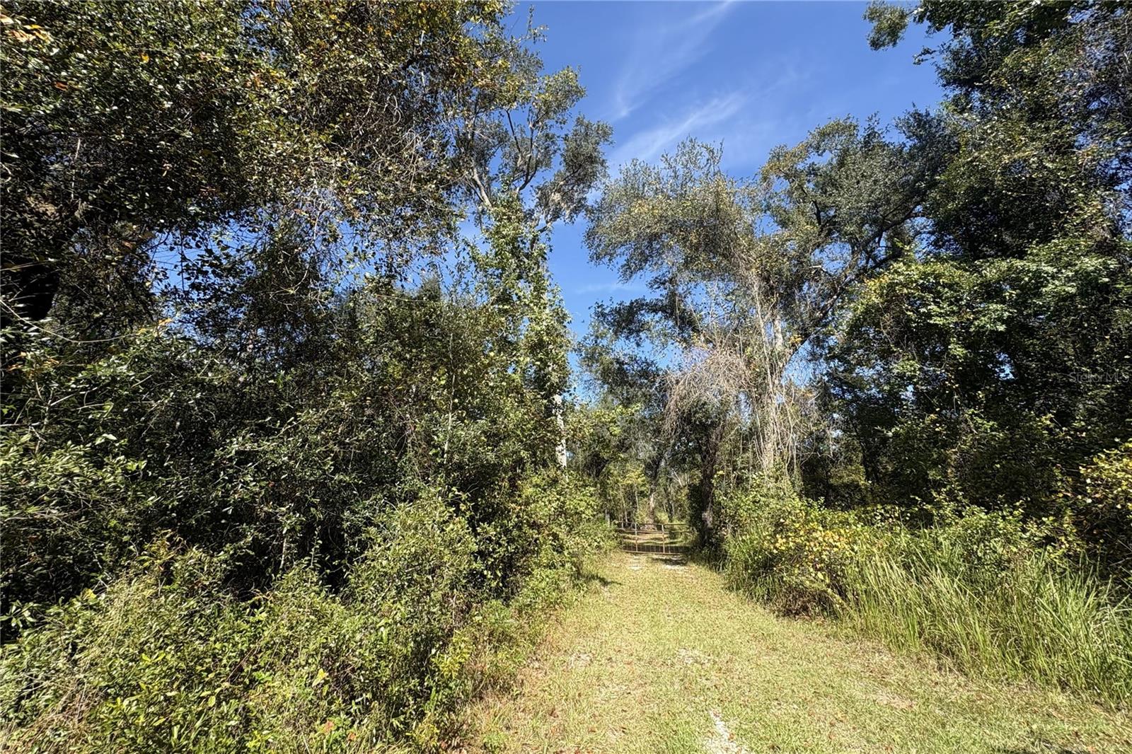 3824 NE CHERVIL DRIVE, Lee, FL 32059 3824 NE CHERVIL DRIVE, Lee, FL 32059