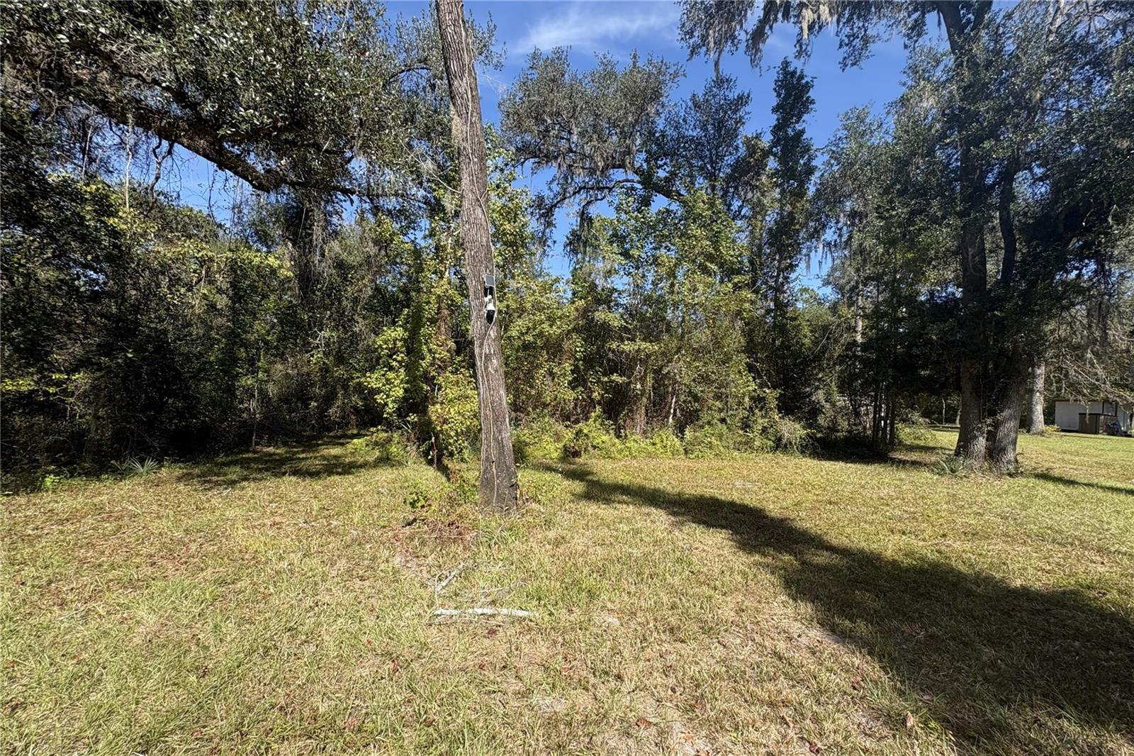 3824 NE CHERVIL DRIVE, Lee, FL 32059