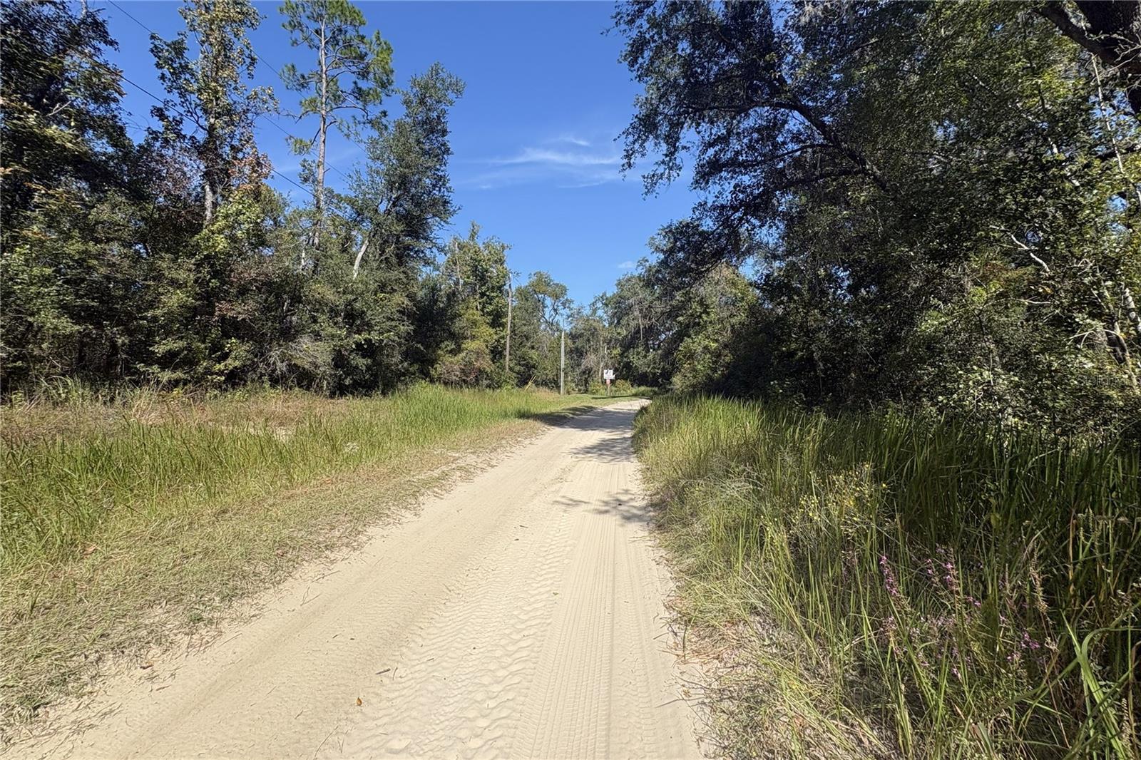 3824 NE CHERVIL DRIVE, Lee, FL 32059