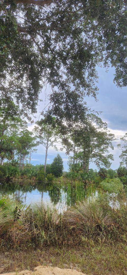 VIEW ALONG PLANTATION DRIVE