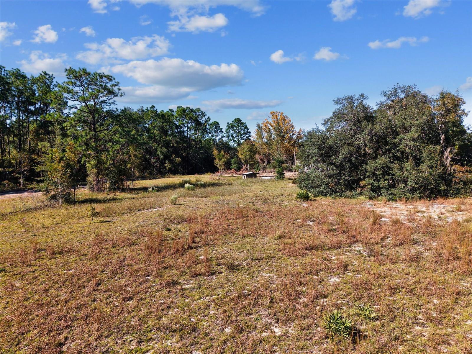 5650 NE 110TH AVENUE, Bronson, FL 32621