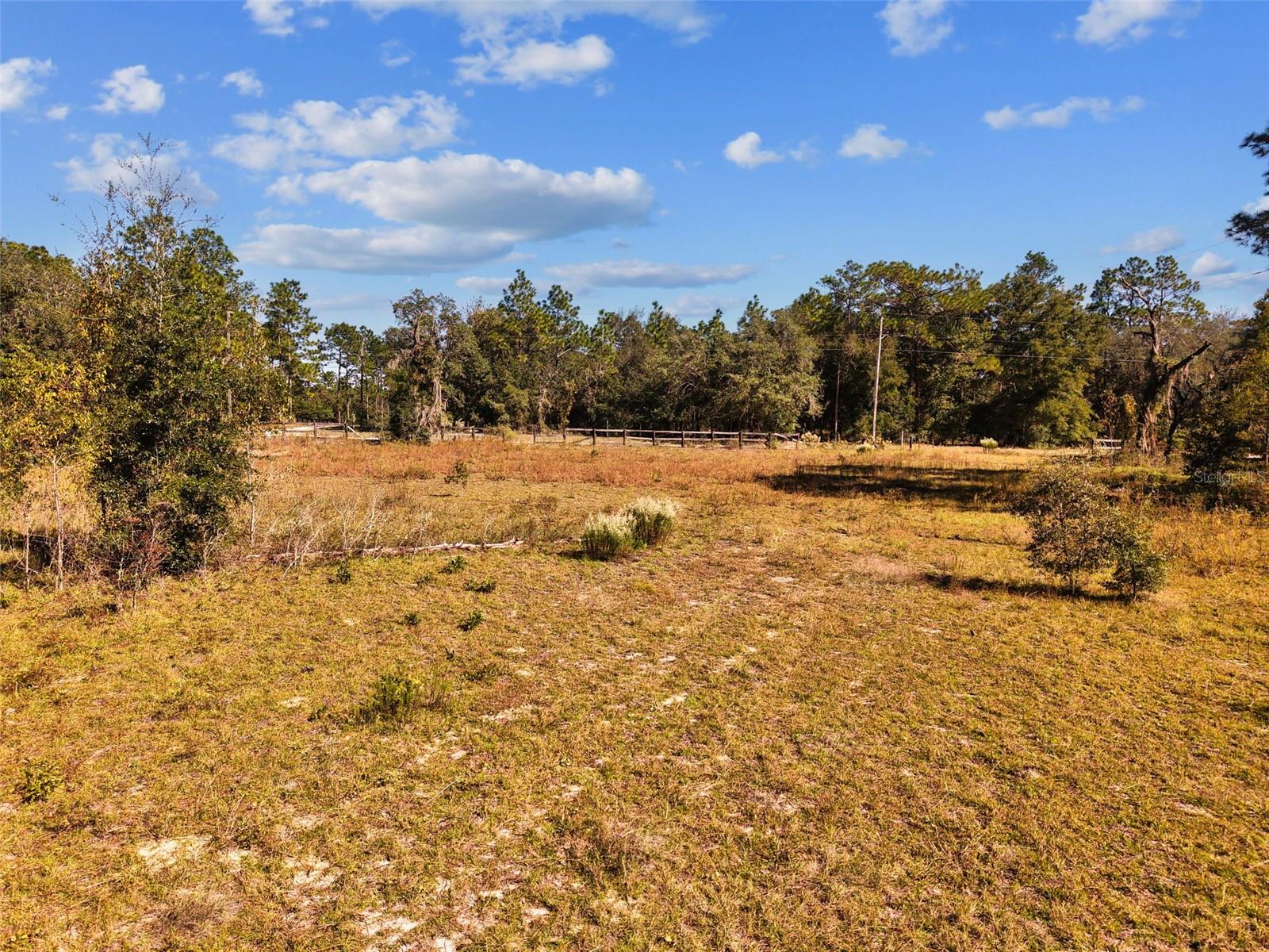 5650 NE 110TH AVENUE, Bronson, FL 32621