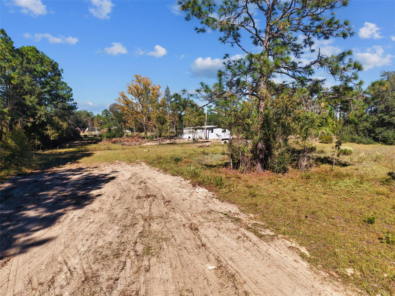 5650 NE 110TH AVENUE, Bronson, FL 32621