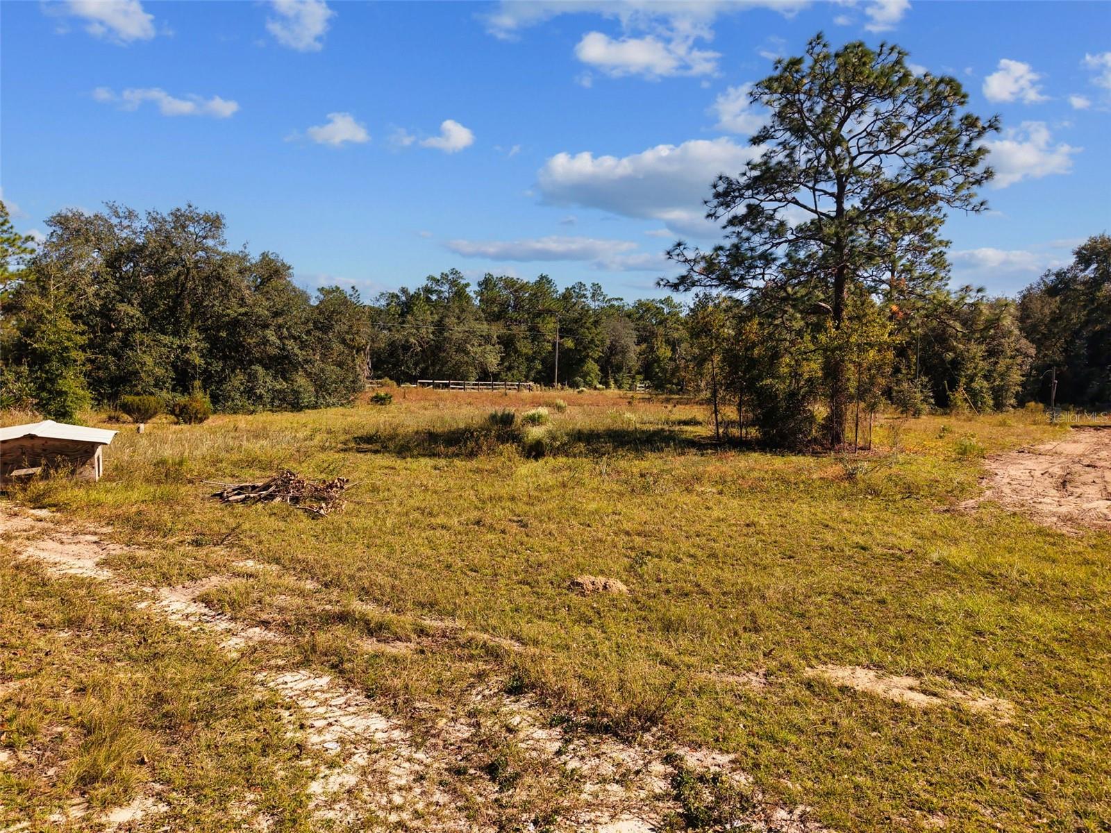 5650 NE 110TH AVENUE, Bronson, FL 32621