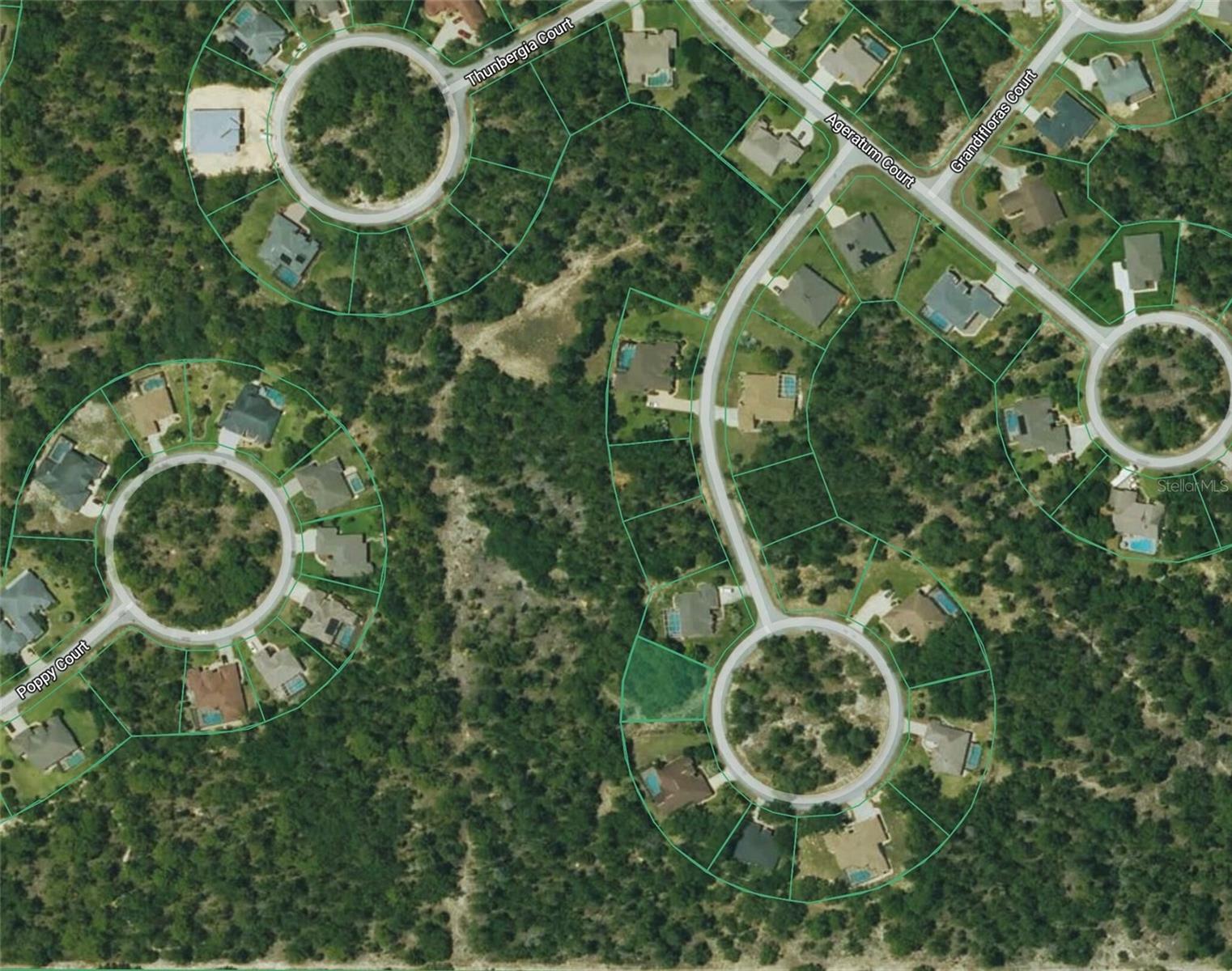 14 FLORIBUNDA COURT, Homosassa, FL 34446 14 FLORIBUNDA COURT, Homosassa, FL 34446