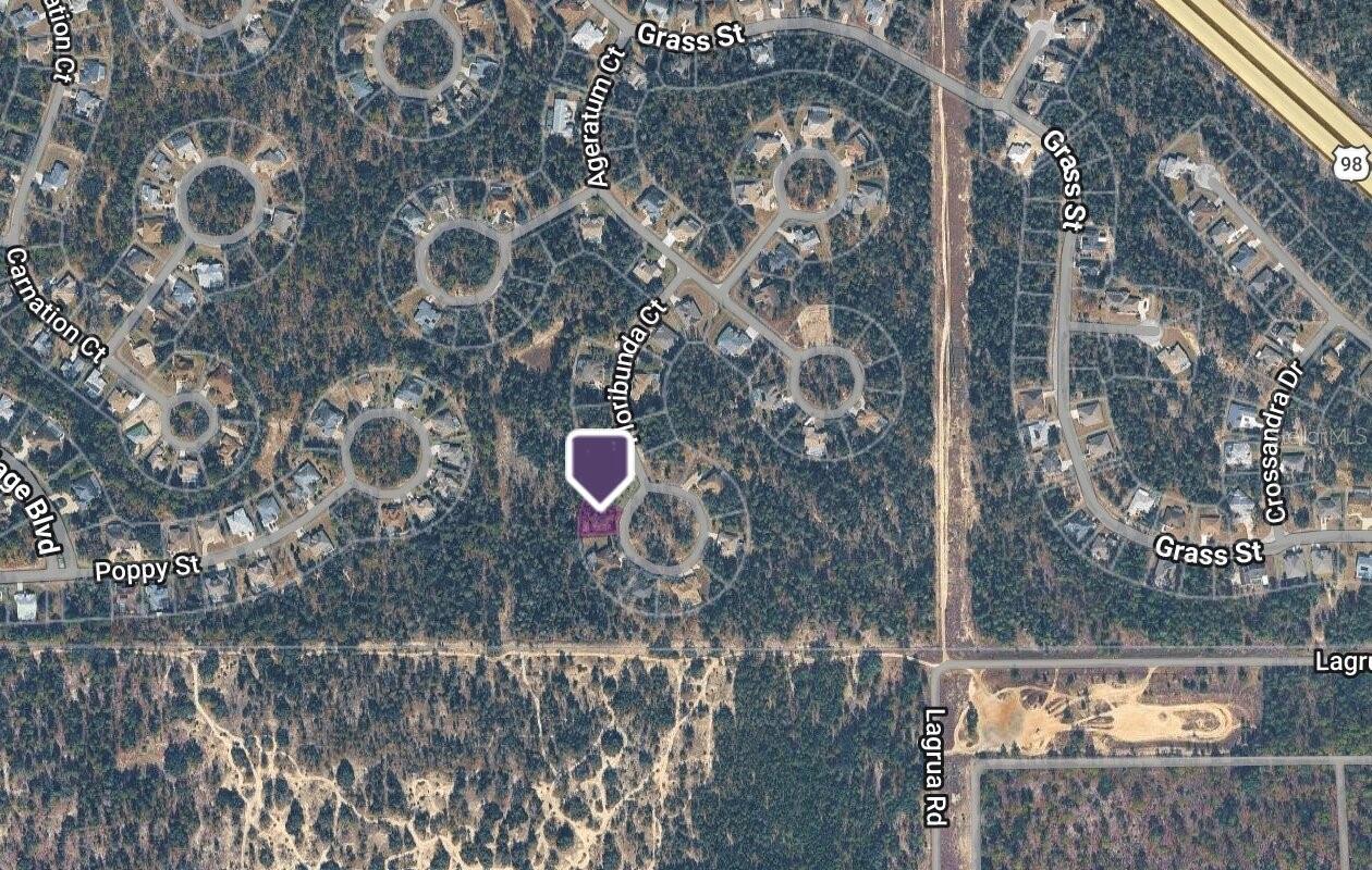 14 FLORIBUNDA COURT, Homosassa, FL 34446 14 FLORIBUNDA COURT, Homosassa, FL 34446