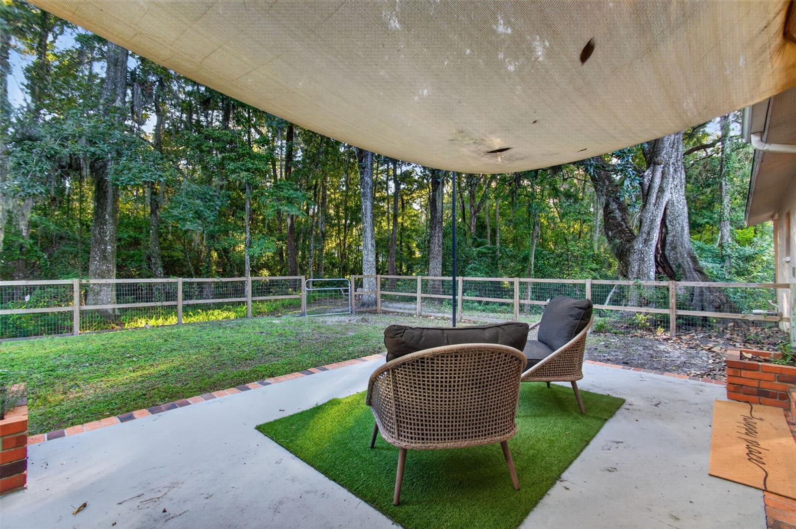 Back Patio