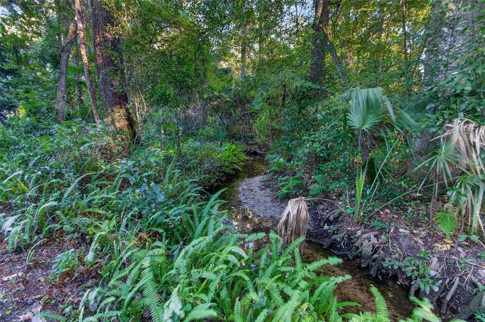 Possum Creek