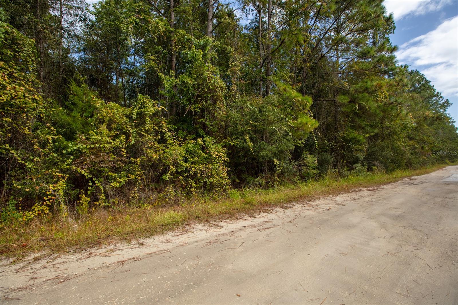 5970 VILLANUEVA DRIVE, Keystone Heights, FL 32656 5970 VILLANUEVA DRIVE, Keystone Heights, FL 32656