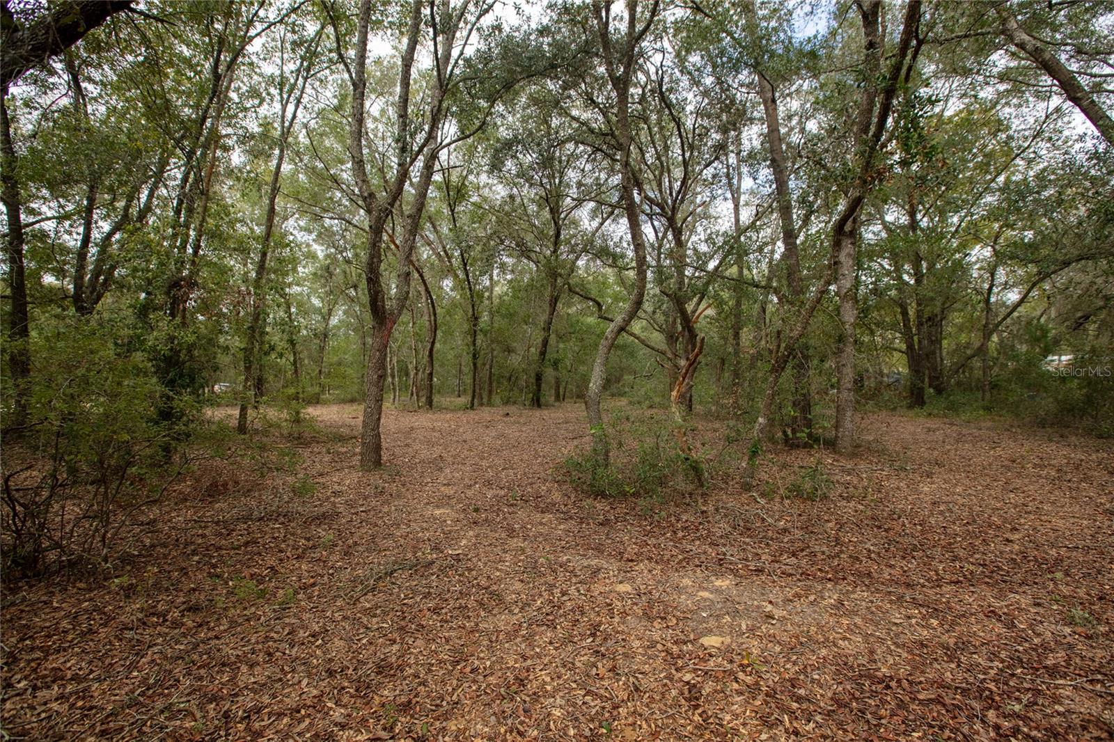 6400 AMHERST AVENUE, Keystone Heights, FL 32656
