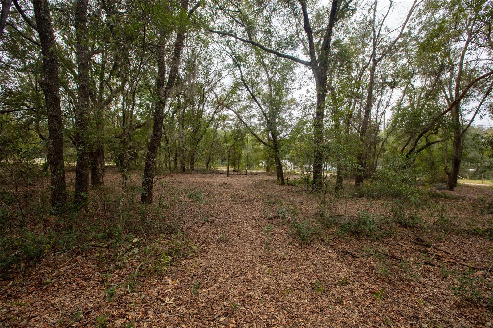 6400 AMHERST AVENUE, Keystone Heights, FL 32656