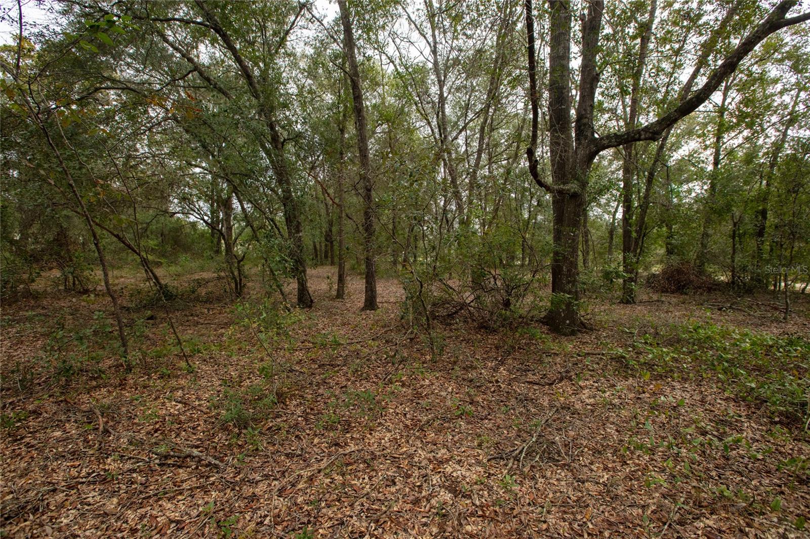 6400 AMHERST AVENUE, Keystone Heights, FL 32656