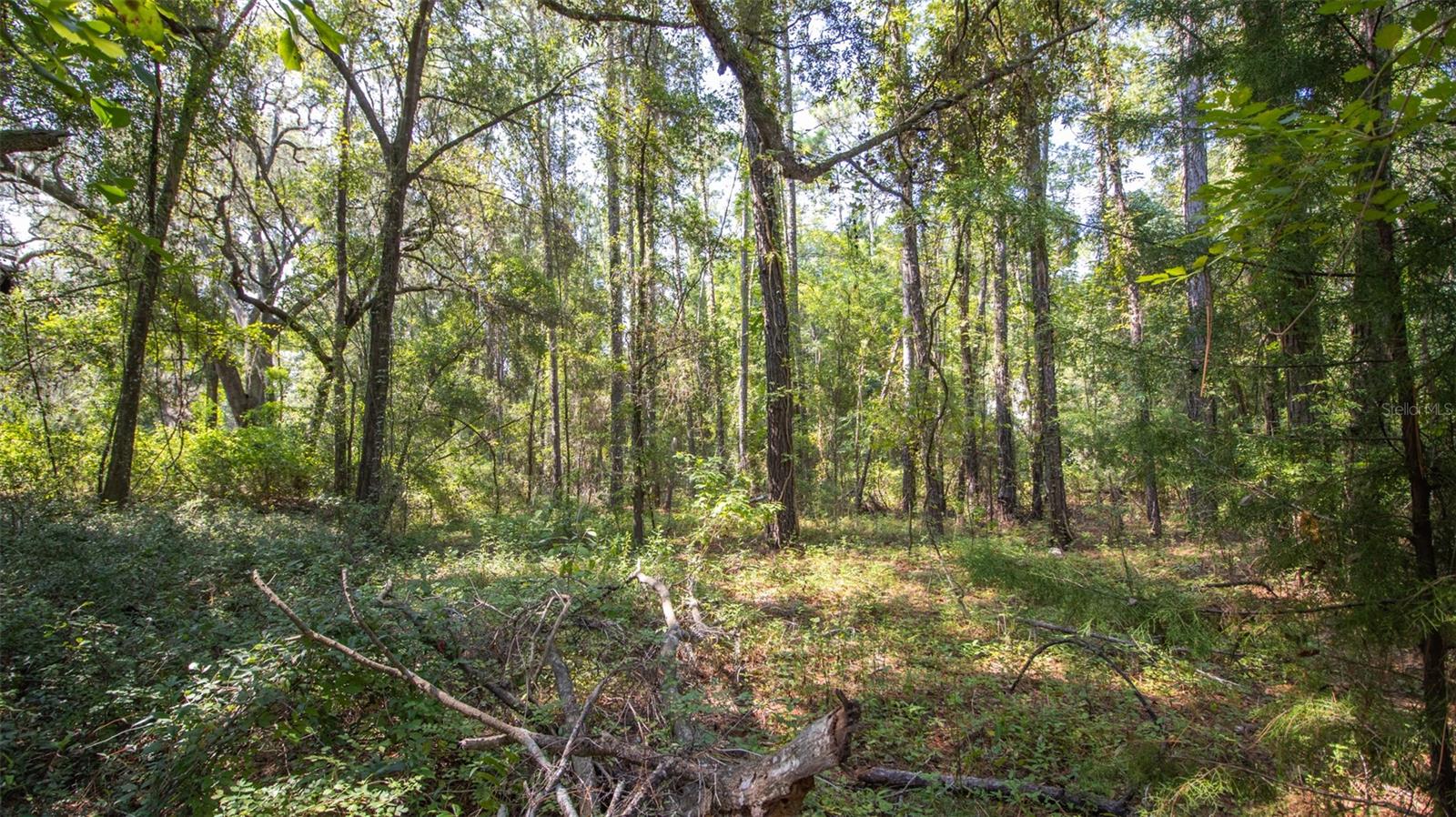 101 ASHLEY LAKE DRIVE, Melrose, FL 32666