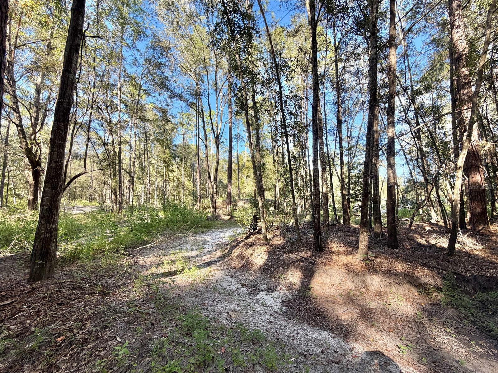 10727 NW 169TH DRIVE, Alachua, FL 32615
