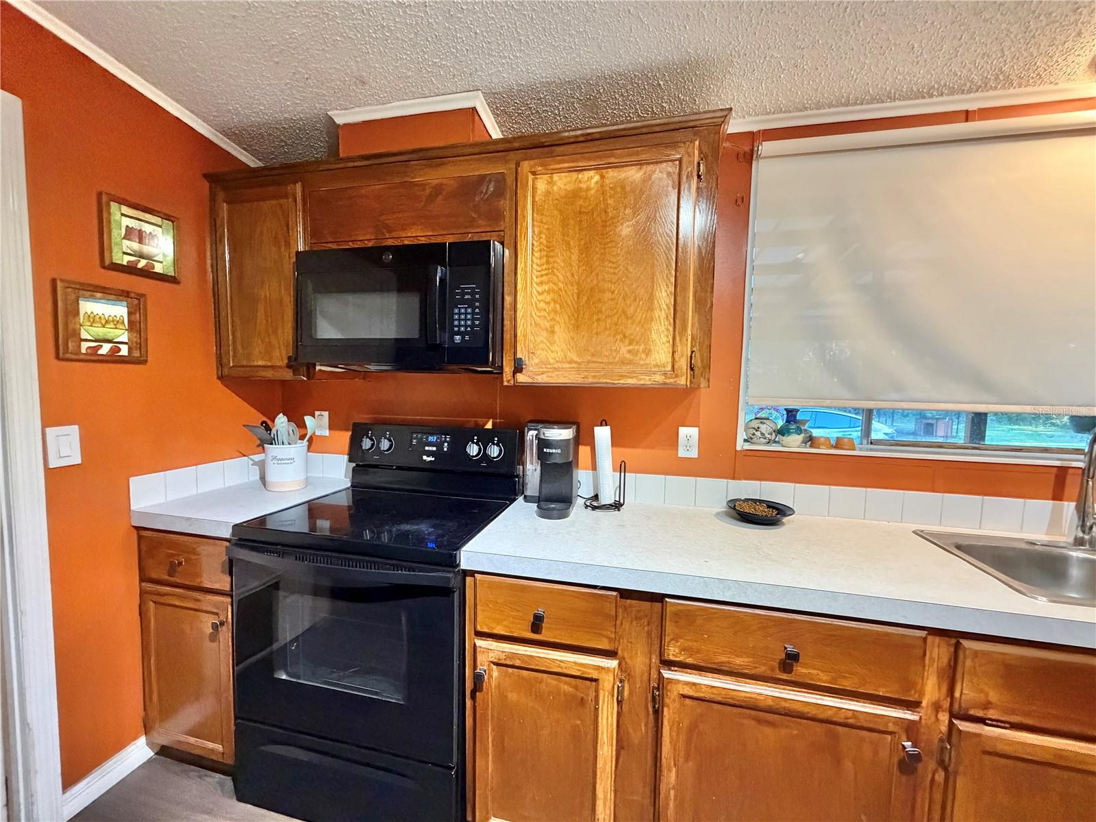 10727 NW 169TH DRIVE, Alachua, FL 32615
