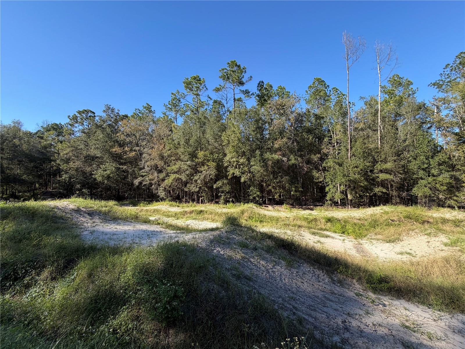 10727 NW 169TH DRIVE, Alachua, FL 32615 10727 NW 169TH DRIVE, Alachua, FL 32615